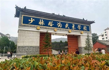河南嵩山少林塔溝武?？諝饽軣崴?xiàng)目案例
